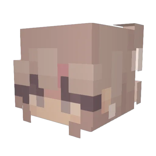 HowCanICompete Minecraft avatar head, 3D render