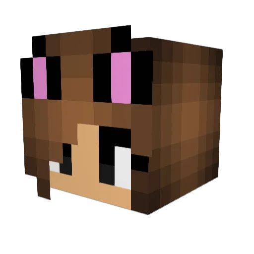 HowYaDoingOcie Minecraft avatar head, 3D render
