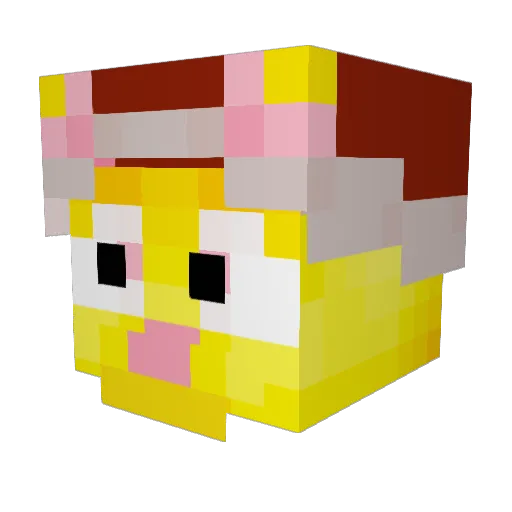 Howa_ Minecraft avatar head, 3D render