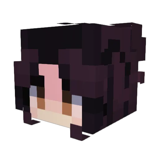 Howawii Minecraft avatar head, 3D render