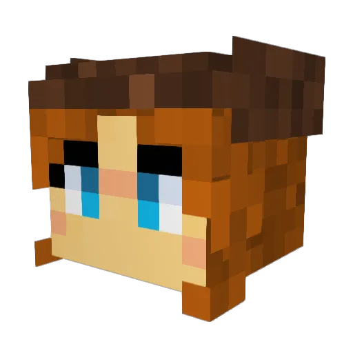 HowdyHere Minecraft avatar head, 3D render