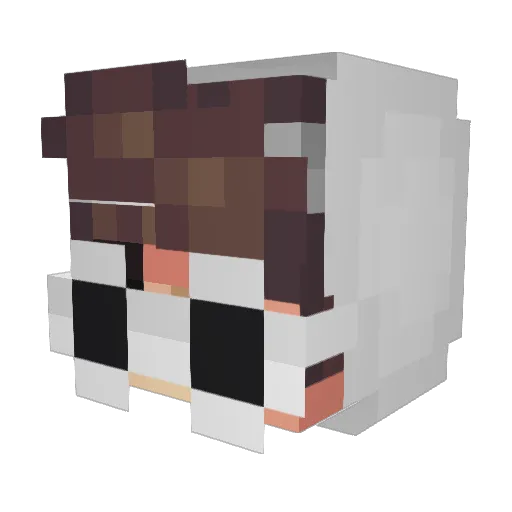 Howey Minecraft avatar head, 3D render
