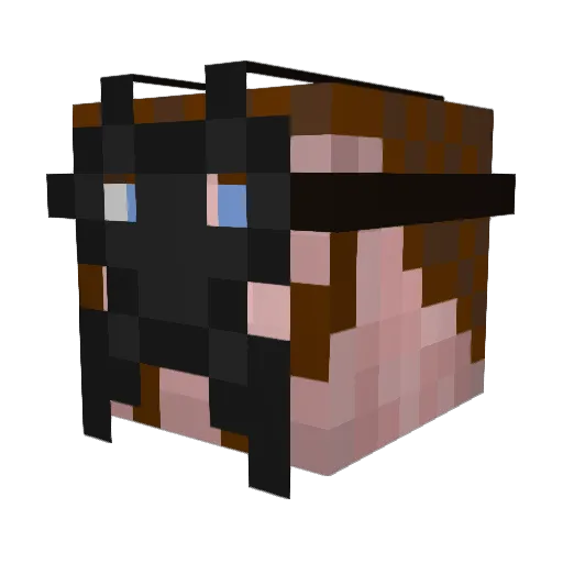 Howie024 Minecraft avatar head, 3D render