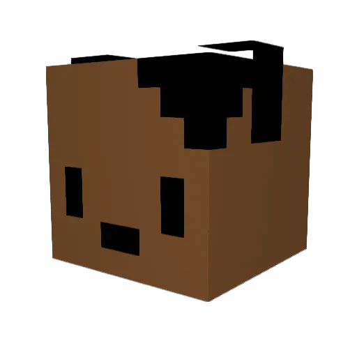 HowieBocher Minecraft avatar head, 3D render