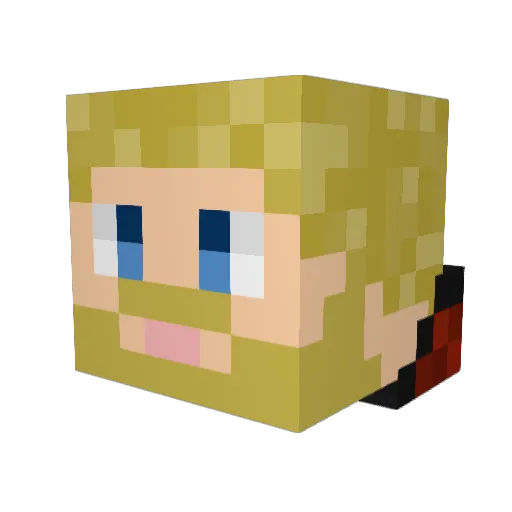 HowieED1 Minecraft avatar head, 3D render