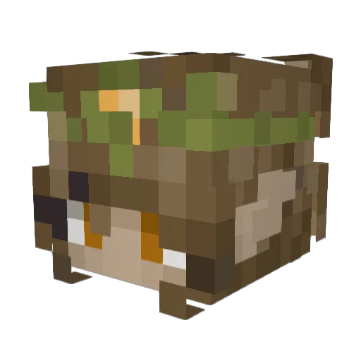 Howie_Dair Minecraft avatar head, 3D render