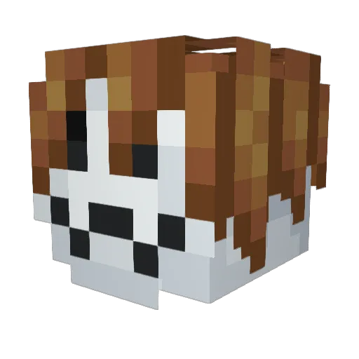 Howiebear27 Minecraft avatar head, 3D render