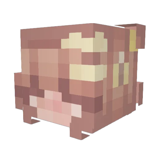 HowlerTwin Minecraft avatar head, 3D render