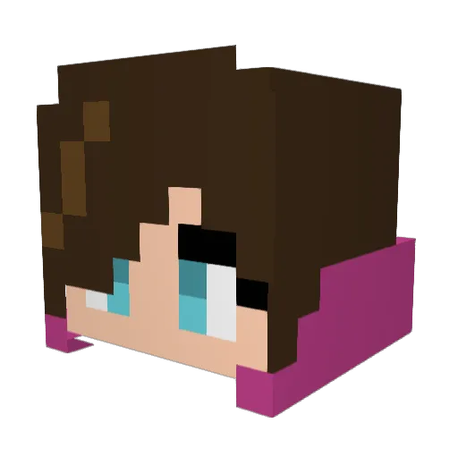 HowlinGoodTimes Minecraft avatar head, 3D render