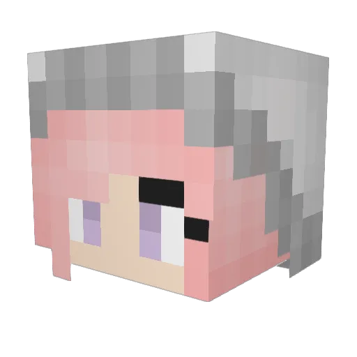 HowlingOwls Minecraft avatar head, 3D render