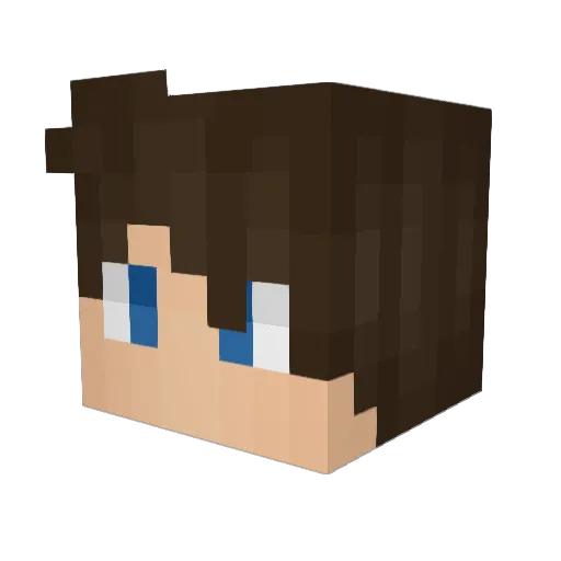HowsTheGoin Minecraft avatar head, 3D render
