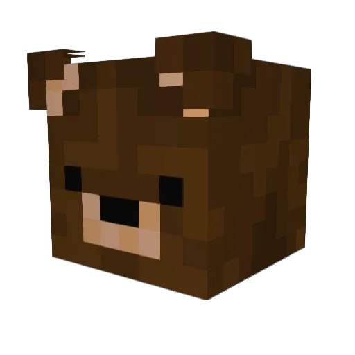 HowsThisNotTaken Minecraft avatar head, 3D render