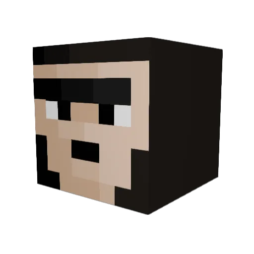Howyoudoin_ Minecraft avatar head, 3D render