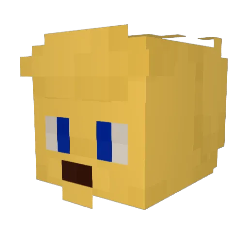Howzit Minecraft avatar head, 3D render