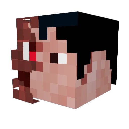 Hoxin Minecraft avatar head, 3D render