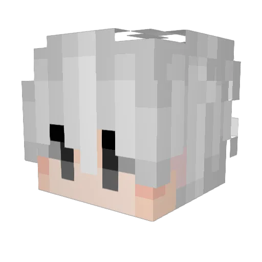 HoxysVeil Minecraft avatar head, 3D render