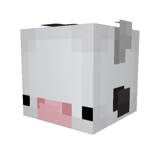 Hoykey Minecraft avatar head, 3D render