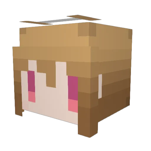 Hozumi423 Minecraft avatar head, 3D render