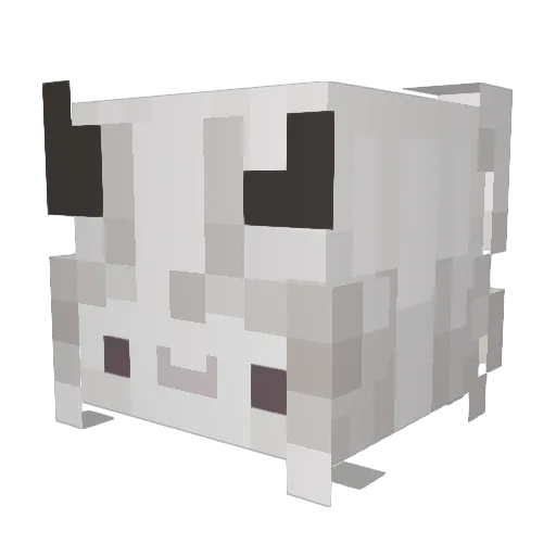 Hpnotq Minecraft avatar head, 3D render