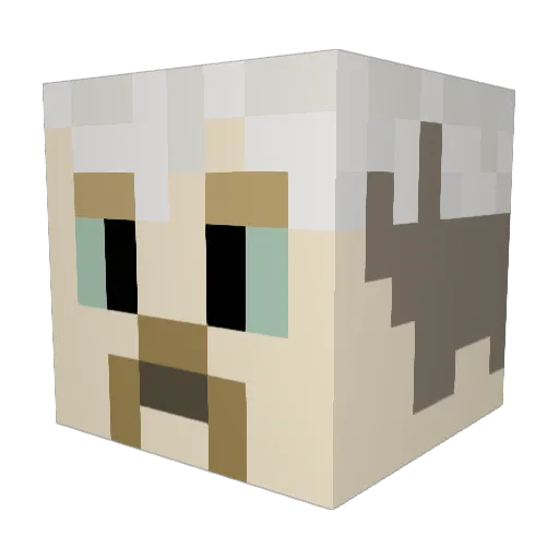 HrMaier2000 Minecraft avatar head, 3D render