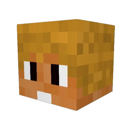 Hrafnkell_Isar Minecraft avatar head, 3D render