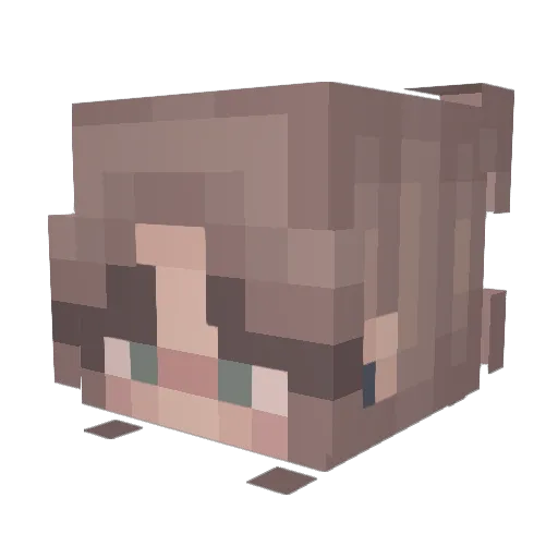 HrbngrOfLaundry Minecraft avatar head, 3D render