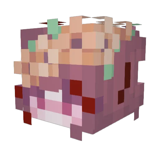 Hrcoea Minecraft avatar head, 3D render