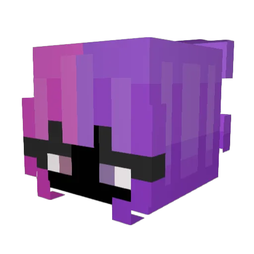 Hribsi Minecraft avatar head, 3D render