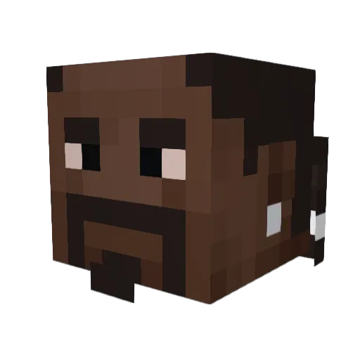 Hrudder_ Minecraft avatar head, 3D render