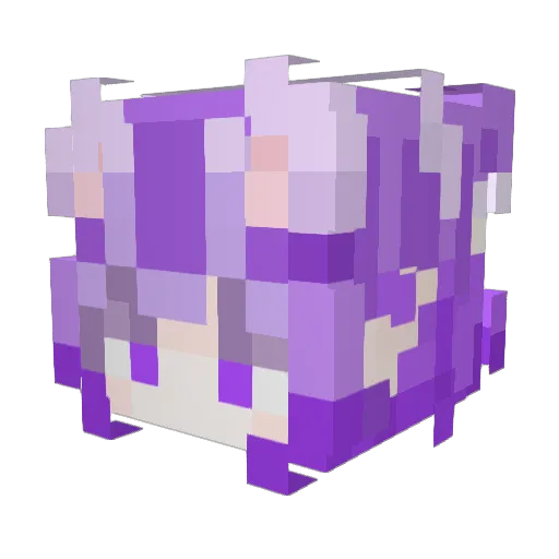 HsJsSS Minecraft avatar head, 3D render