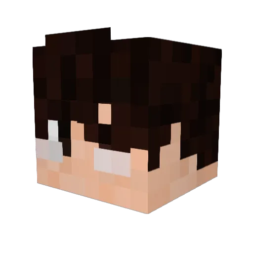 HsUN Minecraft avatar head, 3D render