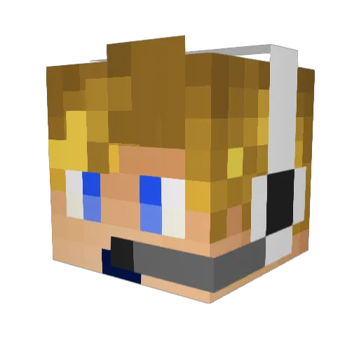 Hsbhsb2000 Minecraft avatar head, 3D render