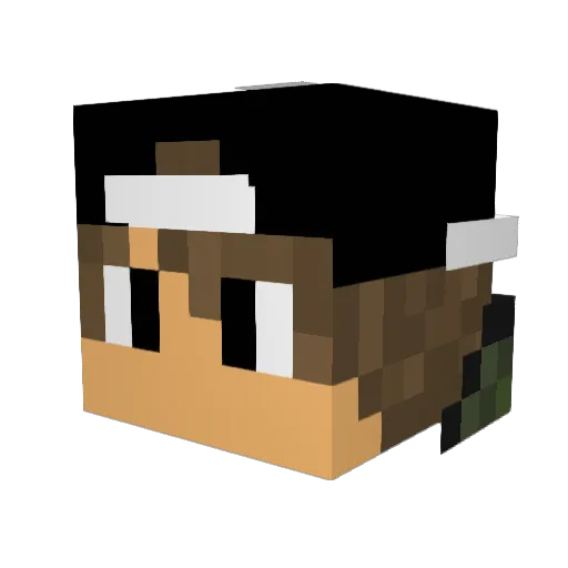 Hsin001 Minecraft avatar head, 3D render