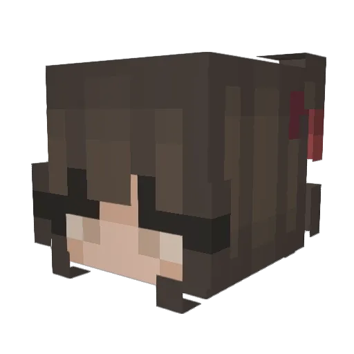 Hsj1018 Minecraft avatar head, 3D render