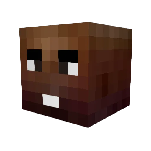 HsoK817 Minecraft avatar head, 3D render