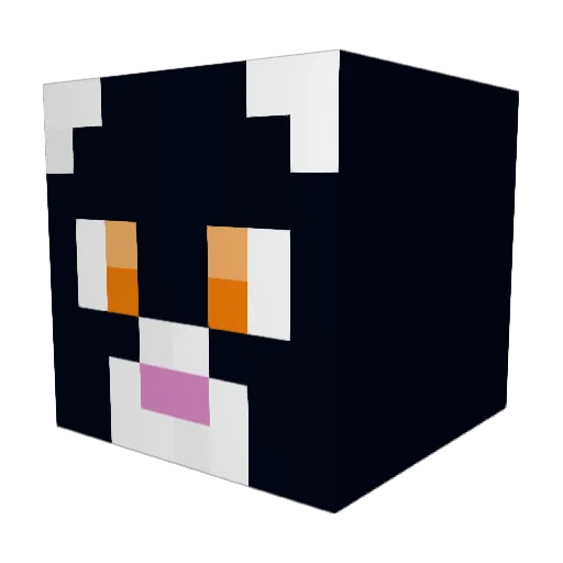 Hsteve25 Minecraft avatar head, 3D render
