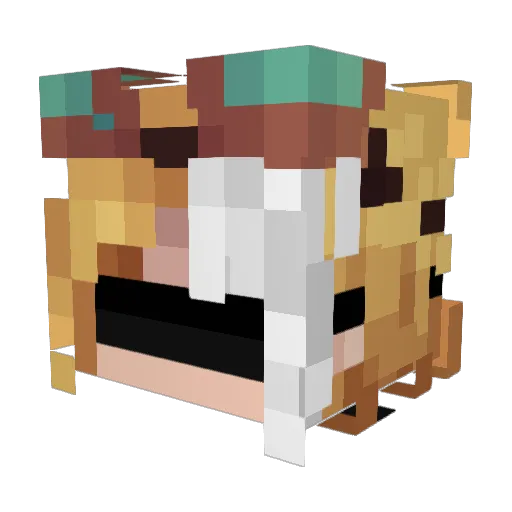 Hsu_Fshi Minecraft avatar head, 3D render