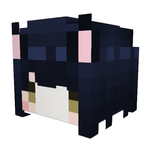 HsuanQQ Minecraft avatar head, 3D render