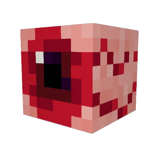 Htamos Minecraft avatar head, 3D render