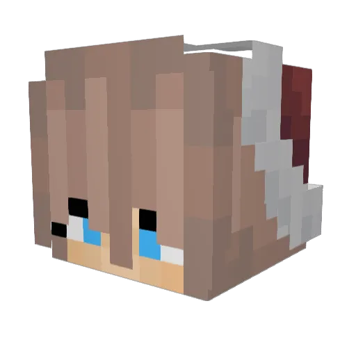 HttpLariFari Minecraft avatar head, 3D render