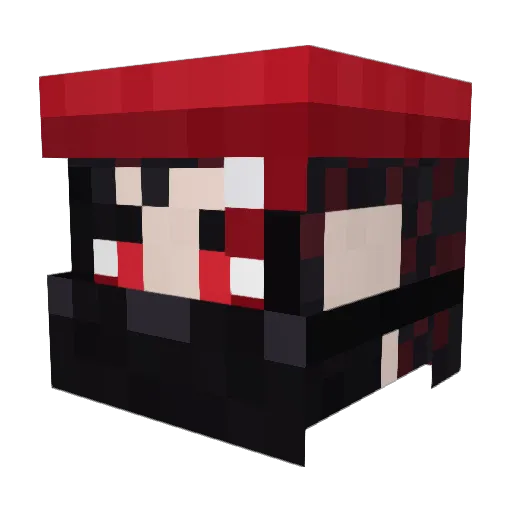 Hu0se Minecraft avatar head, 3D render