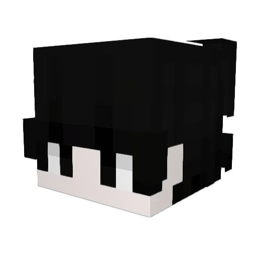 Hu1kH4riP4tti_ Minecraft avatar head, 3D render