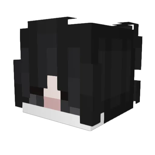 Hu4Te6 Minecraft avatar head, 3D render