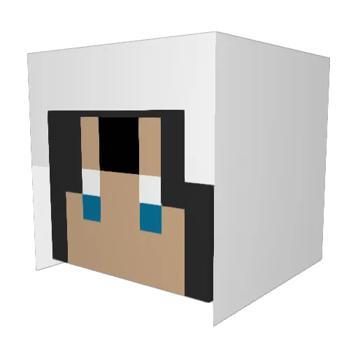Hu78Hu Minecraft avatar head, 3D render