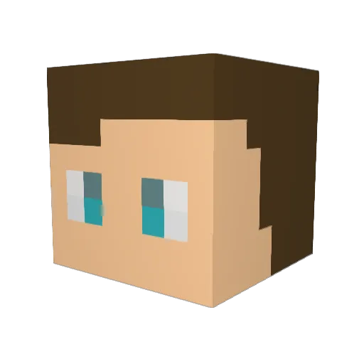 HuACXAP Minecraft avatar head, 3D render