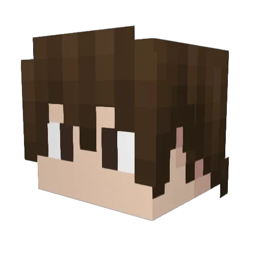 Hu__we Minecraft avatar head, 3D render