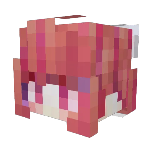 Huan_Bao Minecraft avatar head, 3D render
