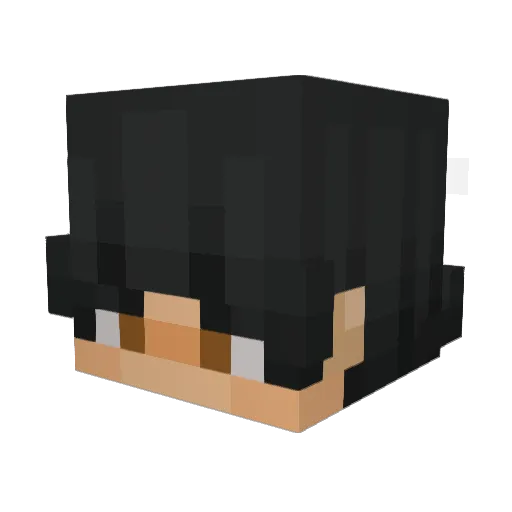 Hub19 Minecraft avatar head, 3D render