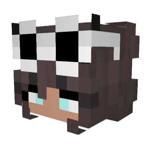 Hubba420 Minecraft avatar head, 3D render