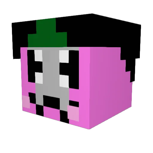 HubbaboyXD Minecraft avatar head, 3D render
